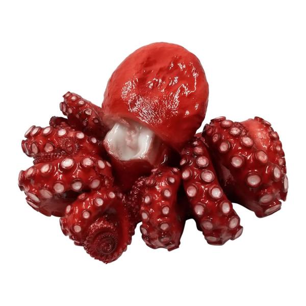 たこ タコ 蛸 実物大の生魚 （ゆで・ボイル） 食品サンプル 日本製 送料無料