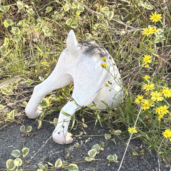 穴掘りワンちゃん アニマルオブジェ 即納可
