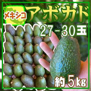 メキシコ産　アボカド27-30玉　約5kg