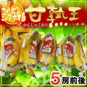 訳あり！石垣島産「白グァバ」5kgまとめ売り : 石垣島新鮮野菜