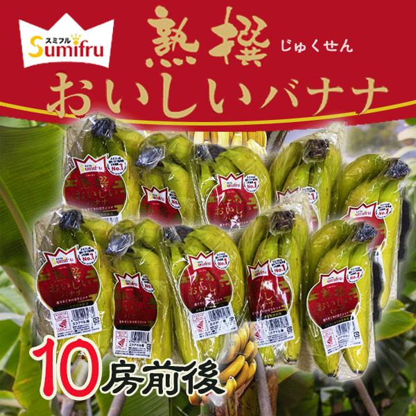 エクアドル産　熟撰おいしいバナナ　10房前後