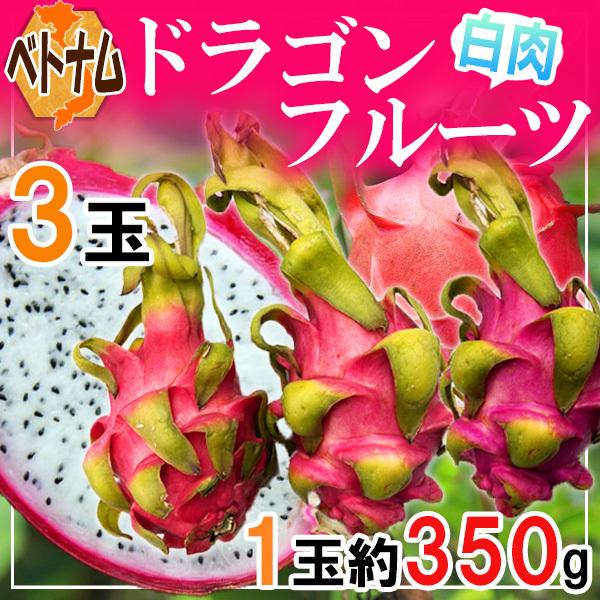 ベトナム産　ドラゴンフルーツ　白肉　3玉　1玉約350ｇ　※クール便発送