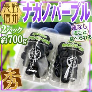 長野県産　ナガノパープル　2パック　総重量約700g　※クール便発送