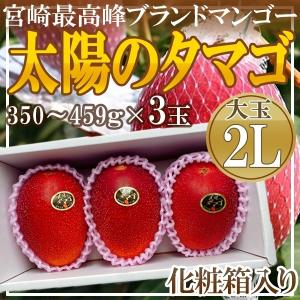 宮崎県産　太陽のタマゴ3玉　2L　1玉約450g以上　化粧箱入り　クール便発送｜frufami-store