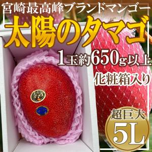 宮崎県産　太陽のタマゴ　5L　1箱1玉入り　化粧箱入り　約650g以上｜frufami-store