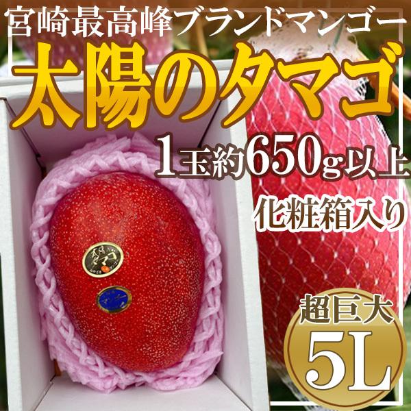 宮崎県産　太陽のタマゴ　5L　1箱1玉入り　化粧箱入り　約650g以上