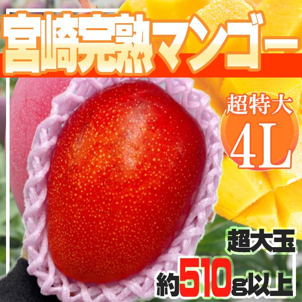 宮崎県産　宮崎完熟マンゴー　1玉　4L約510ｇ前後　クール便発送