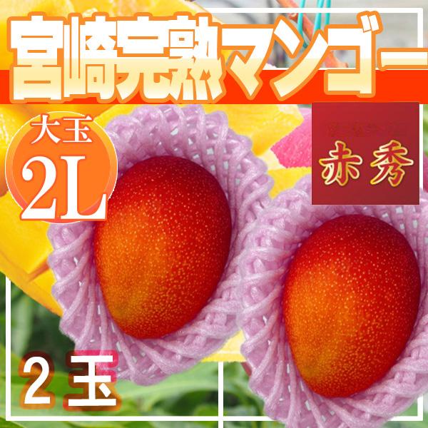 宮崎県産　宮崎完熟マンゴー　2玉入り　2L　赤秀　クール便発送