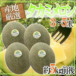 産地厳選　タカミメロン　3〜5玉　約5kg