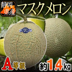 訳あり　静岡県産A等級マスクメロン約1.4kg　