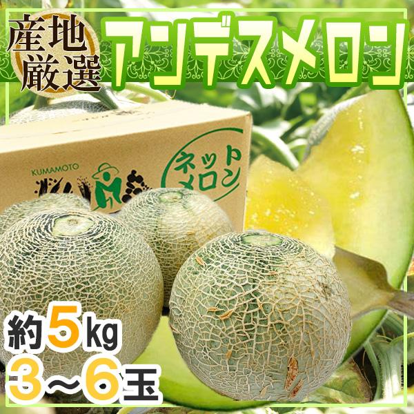 産地厳選　アンデスメロン　約5キロ　3〜6玉