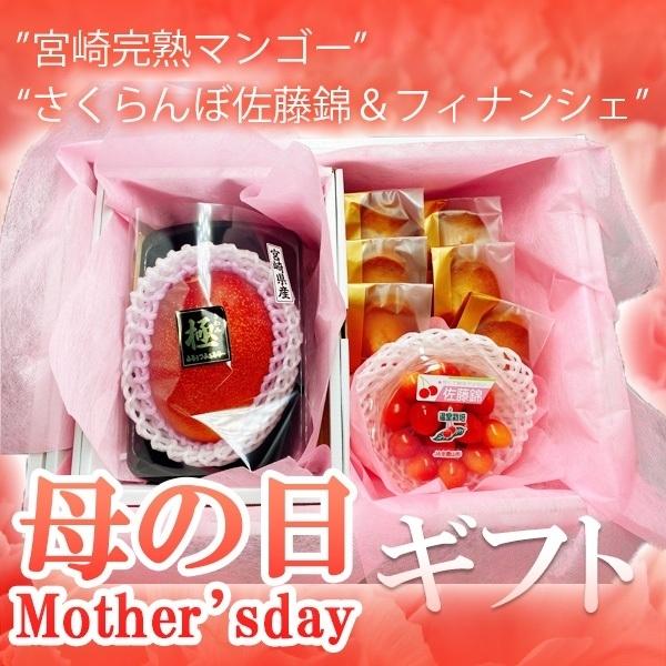 母の日　宮崎完熟マンゴー　2L　1玉　佐藤錦1パック　至福のフィナンシェ　プレーン6個　造花カーネー...