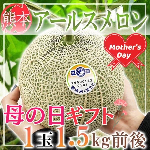 母の日　熊本県産　アールスメロン　1玉約1.5kg前後　造花カーネーション付き　母の日ギフト