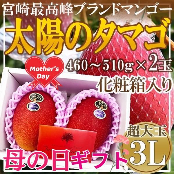 母の日　宮崎県産　太陽のタマゴ2玉　3L　造花カーネーション付き　母の日ギフト