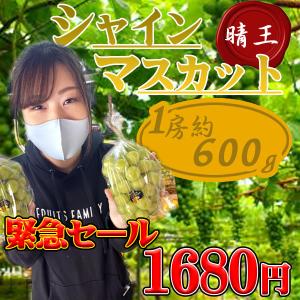 緊急セール!岡山県産　シャインマスカット《晴王》1房　約600ｇ