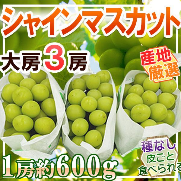 産地厳選　シャインマスカット　3房　1房約約600g　クール便発送