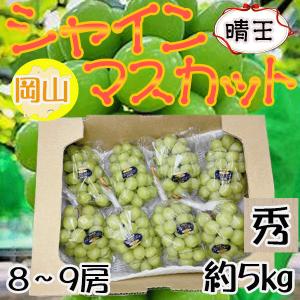 クール便山梨県産シャインマスカット５キロ7〜9房 dショッピング |新発売！【送料無料】山梨県産 大房 シャイン