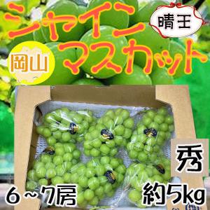 岡山県産　シャインマスカット　晴王　6〜7房　約5kg　優品　クール便発送 岡山県産 シャインマスカット 晴王 6〜7房 約5kg 優品 クール便
