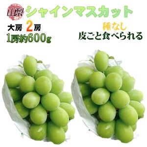 山梨県産 シャインマスカット 1房 約480g ※クール便発送 : ふる