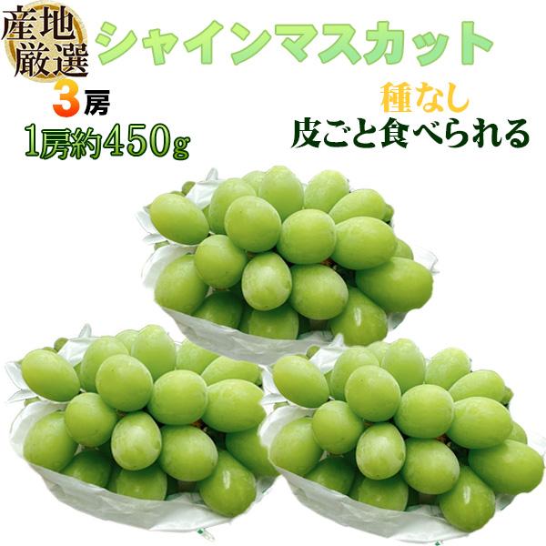 産地厳選　シャインマスカット　3房　1房約450ｇ　クール便発送