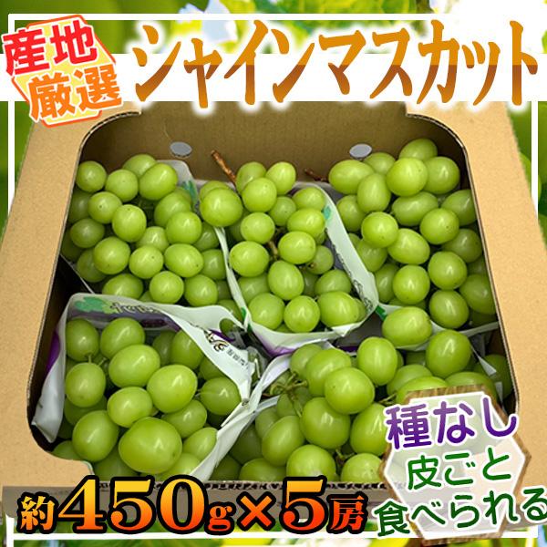 産地厳選　シャインマスカット　約450g×5房　※クール便発送