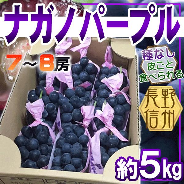 長野県産　ナガノパープル　7-8房　約5kg　クール便発送