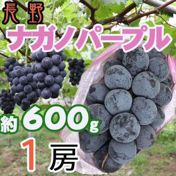 長野県産　ナガノパープル　1房　約600g　クール便発送