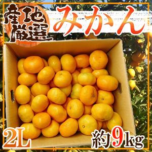 産地厳選　みかん　2L　約9kg