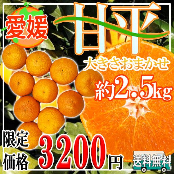愛媛県産　甘平　大きさおまかせ　約2.5kg