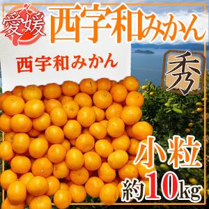 愛媛県産　西字和みかん　小粒　約10kg　秀品