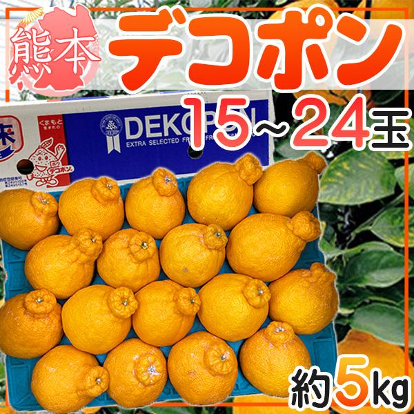熊本県産　デコポン　15〜24玉　約5kg