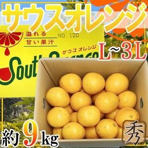 鹿児島県産　サウスオレンジ　秀品　L-3L　約9kg｜ふるふぁみストア