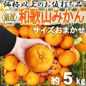 厳選　和歌山みかん　大きさおまかせ　約5kg