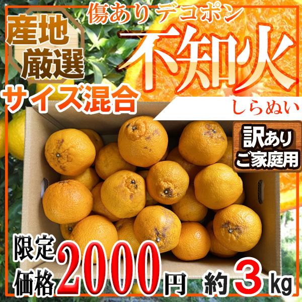 産地厳選　不知火　サイズ混合　約3kg　傷ありご家庭用　