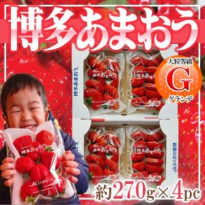 福岡県産　博多あまおう　G等級　4パック　1パック約270g　【予約　2月下旬以降】