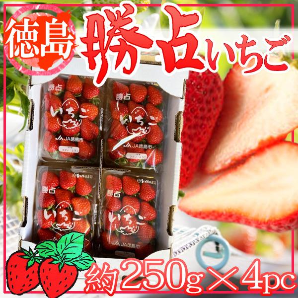 徳島県産　勝占いちご　約250g×4パック
