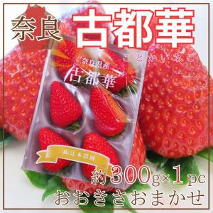 奈良県産　古都華　約300ｇ×1パック　おおきさおまかせ