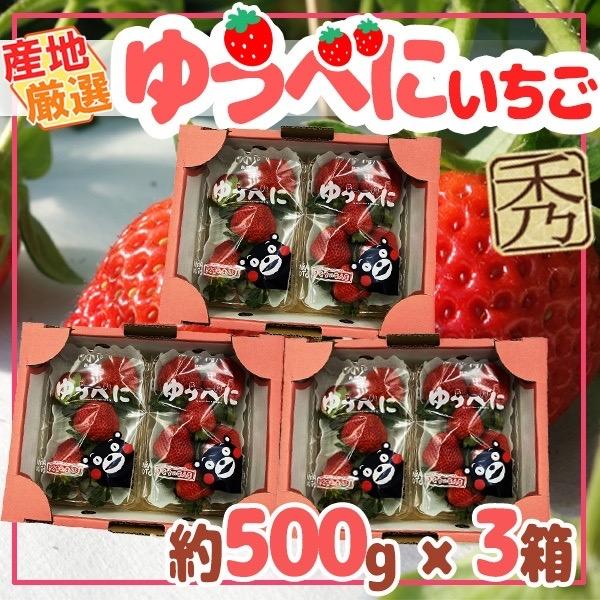 産地厳選　ゆうべに　250ｇ×6パック　秀品　