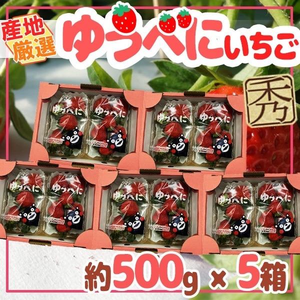 産地厳選　ゆうべに　250ｇ×10パック　秀品　