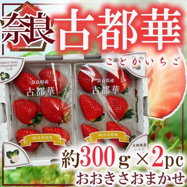 奈良県産　古都華　約300ｇ×2パック　おおきさおまかせ