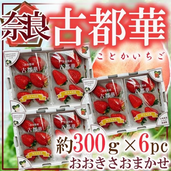 奈良県産　古都華　約300ｇ×6パック　おおきさおまかせ