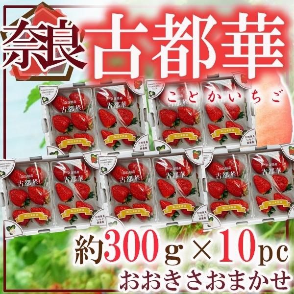 奈良県産　古都華　約300ｇ×10パック　おおきさおまかせ