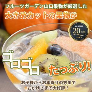 父の日 フルーツゼリー詰合せ 選べる6個入 旬...の詳細画像3