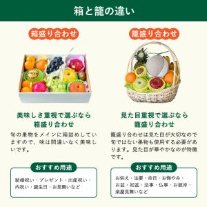 お彼岸 に 果物 かご盛り お供え物 フルーツ...の詳細画像4