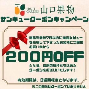 お盆 に 果物 かご盛り お供え物 フルーツギ...の詳細画像2
