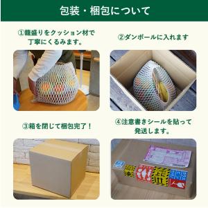 お盆 に 果物 かご盛り お供え物 フルーツギ...の詳細画像4