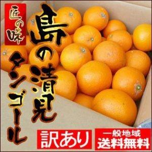 愛媛中島産 島の清見タンゴール 10kg【訳ありご家庭用】【送料無料】