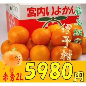 送料無料 興居島（ごごしま）伊予柑 贈答用 赤秀2L 10kg　1月下旬発送開始｜fruit-sunny