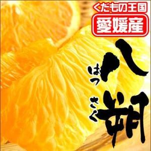 訳ありはっさく2kg送料無料不揃い フルーツ 果物 くだもの わけあり 食品 ワケあり ふぞろい みかん 蜜柑 柑橘類｜fruit-sunny