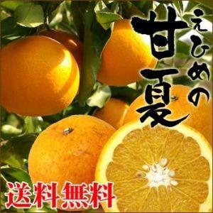 愛媛産　今だけ1kg増量！合計5kg　訳あり甘夏 4kg【送料無料】
